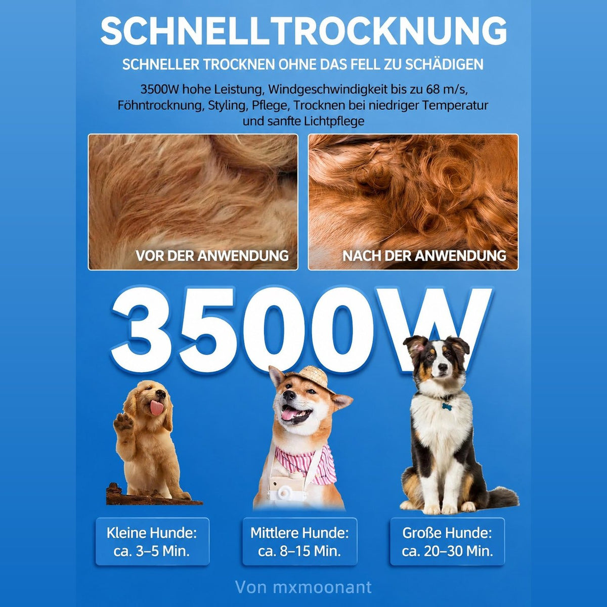 Übersicht der Trocknungszeiten nach Hundegröße