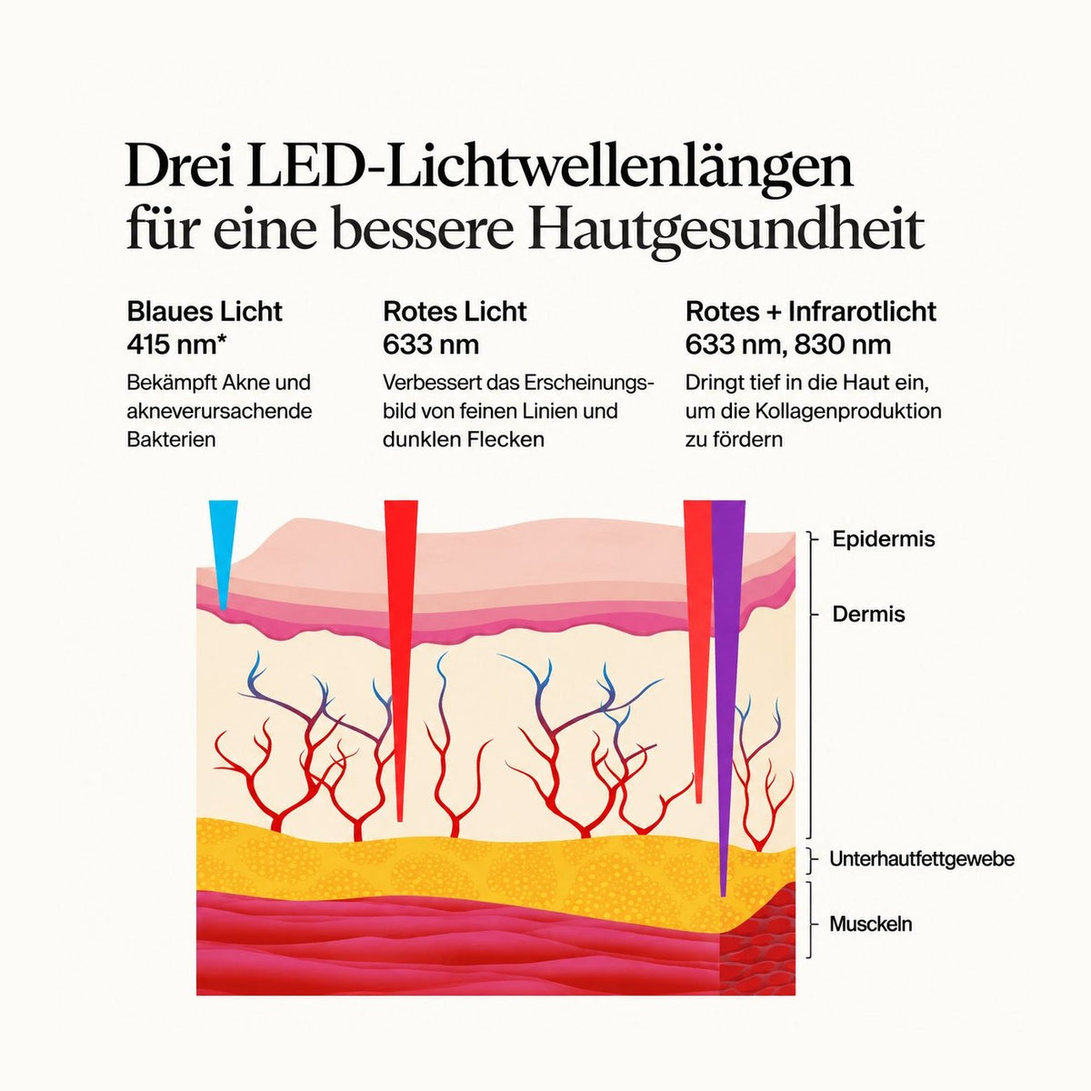 Wellenlängen der LED-Lichttherapie der TheraFace Mask Glo